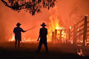 ऑस्ट्रेलियाई जंगल में लगी आग